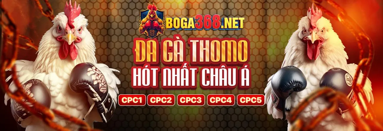 Đá Gà twin bet Trực Tuyến Hấp Dẫn