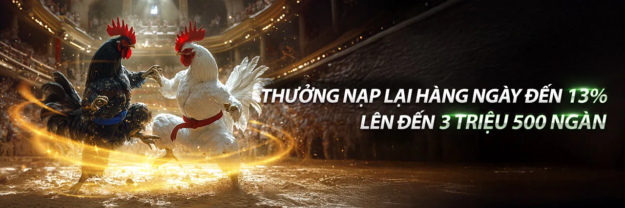Tổng quan về twin bet - Nền tảng cá cược hàng đầu