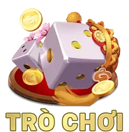 Cơ sở pháp lý xử lý dữ liệu twin bet